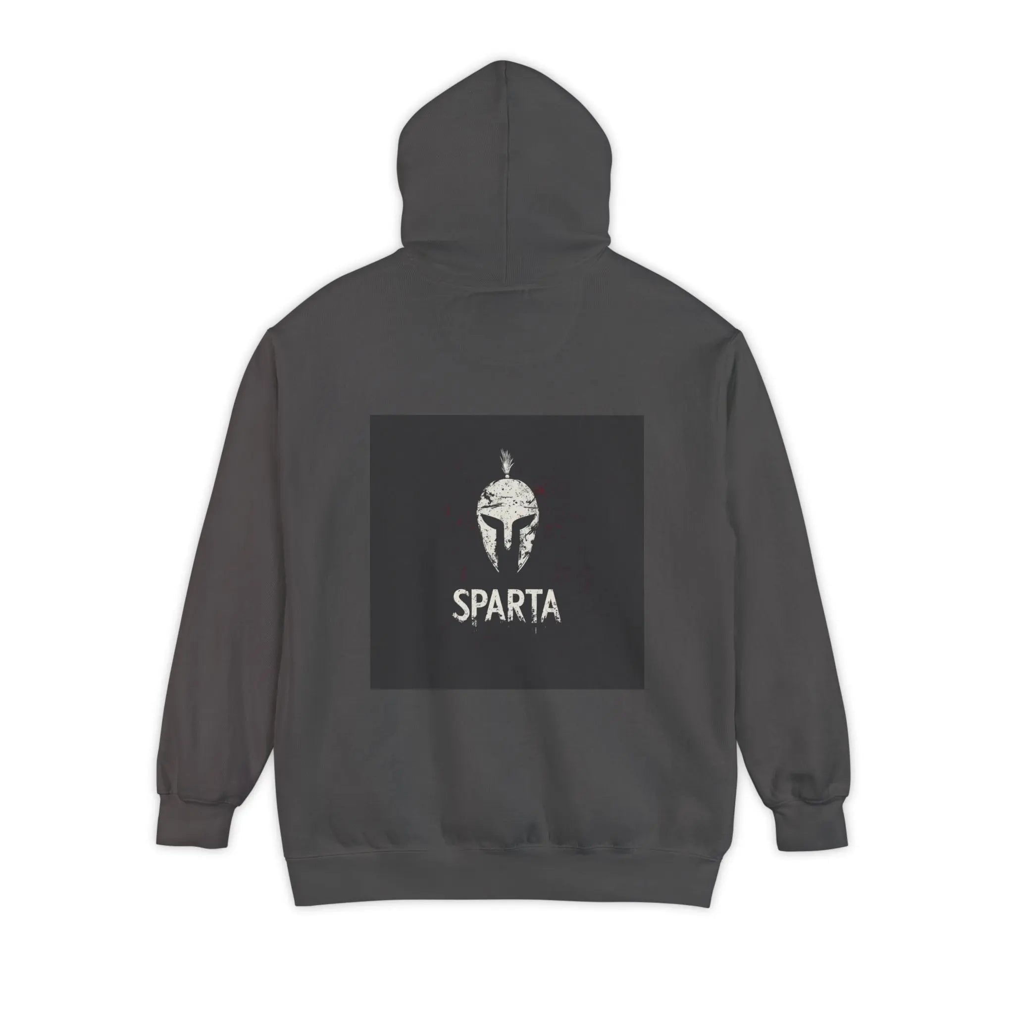 Sparta Warrior Hoodie Printify