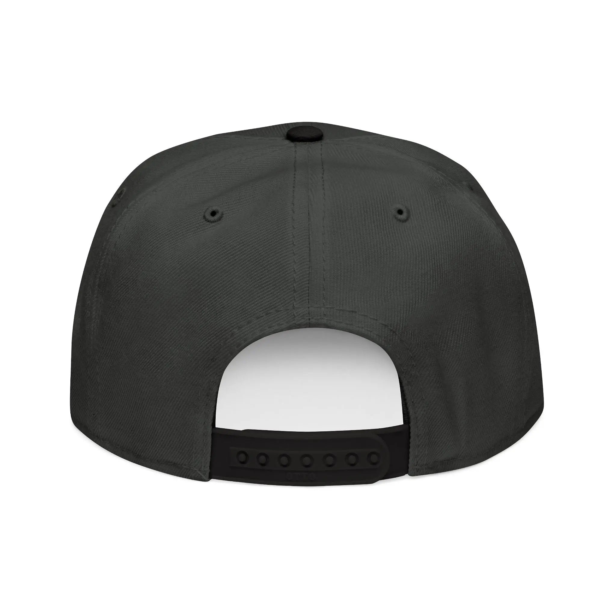 Embroidered TLS Snapback Cap Printify