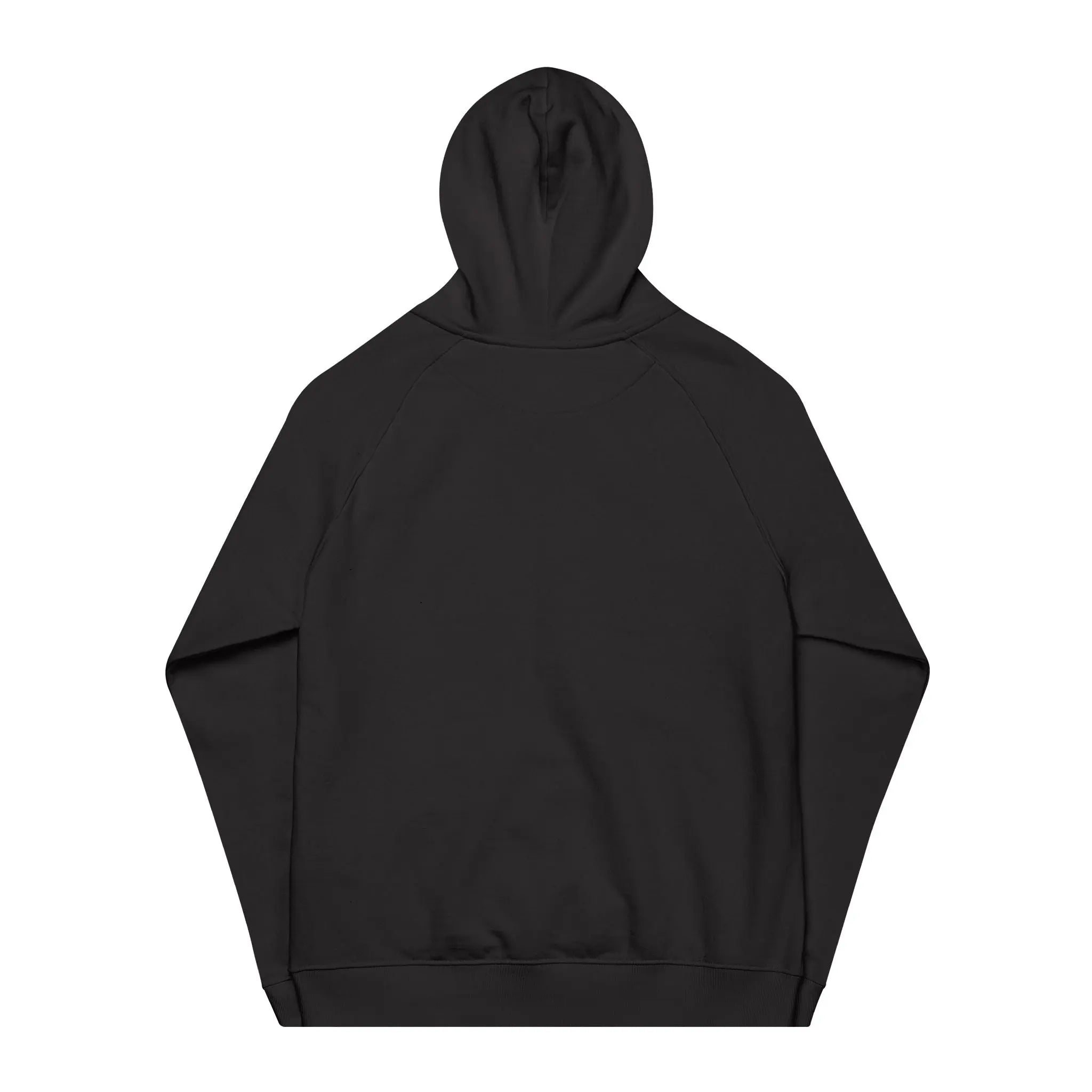 Sparta Spear Embroidered Hoodie Printify